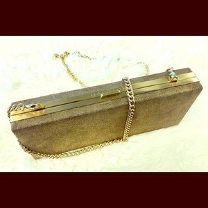 Halston Heritage Small Evening clutch